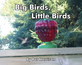 Big Birds, Little Birds